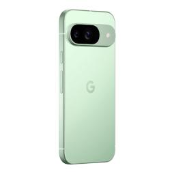 Google Pixel 9 12/256gb Wintergreen